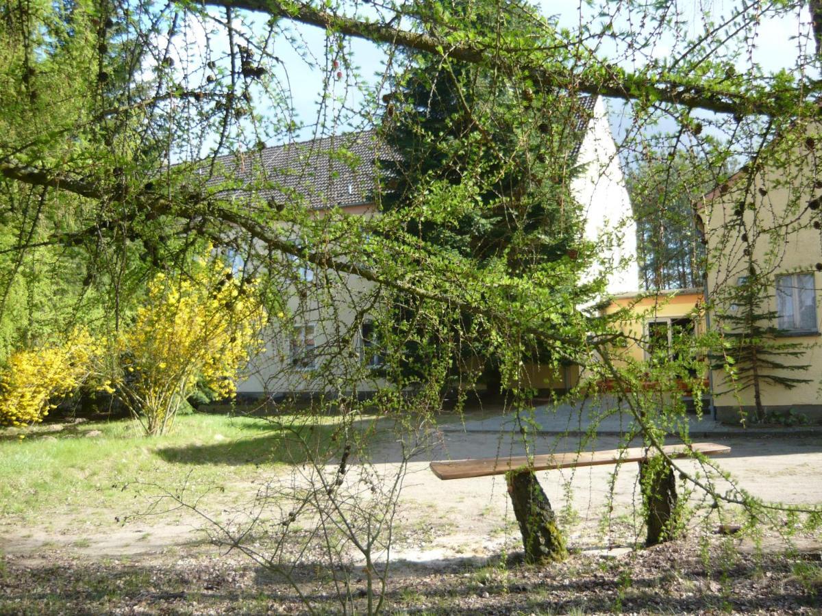 Grosse Wohnung Nossentiner Huette Zewnętrze zdjęcie